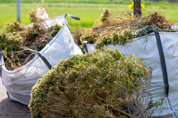 Best Electronics Removal Services  in Richgrove, CA